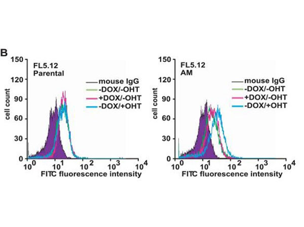Flow Cytometry results using Goat F(ab')2 Anti-Mouse IgG FITC